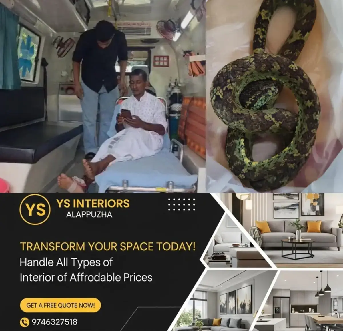 newskerala.net_1777642147_w-1280h-720format-jpgimgid-01kqhtc62a742mqmvrs912eg1vimgname-snake-1-1777640806474