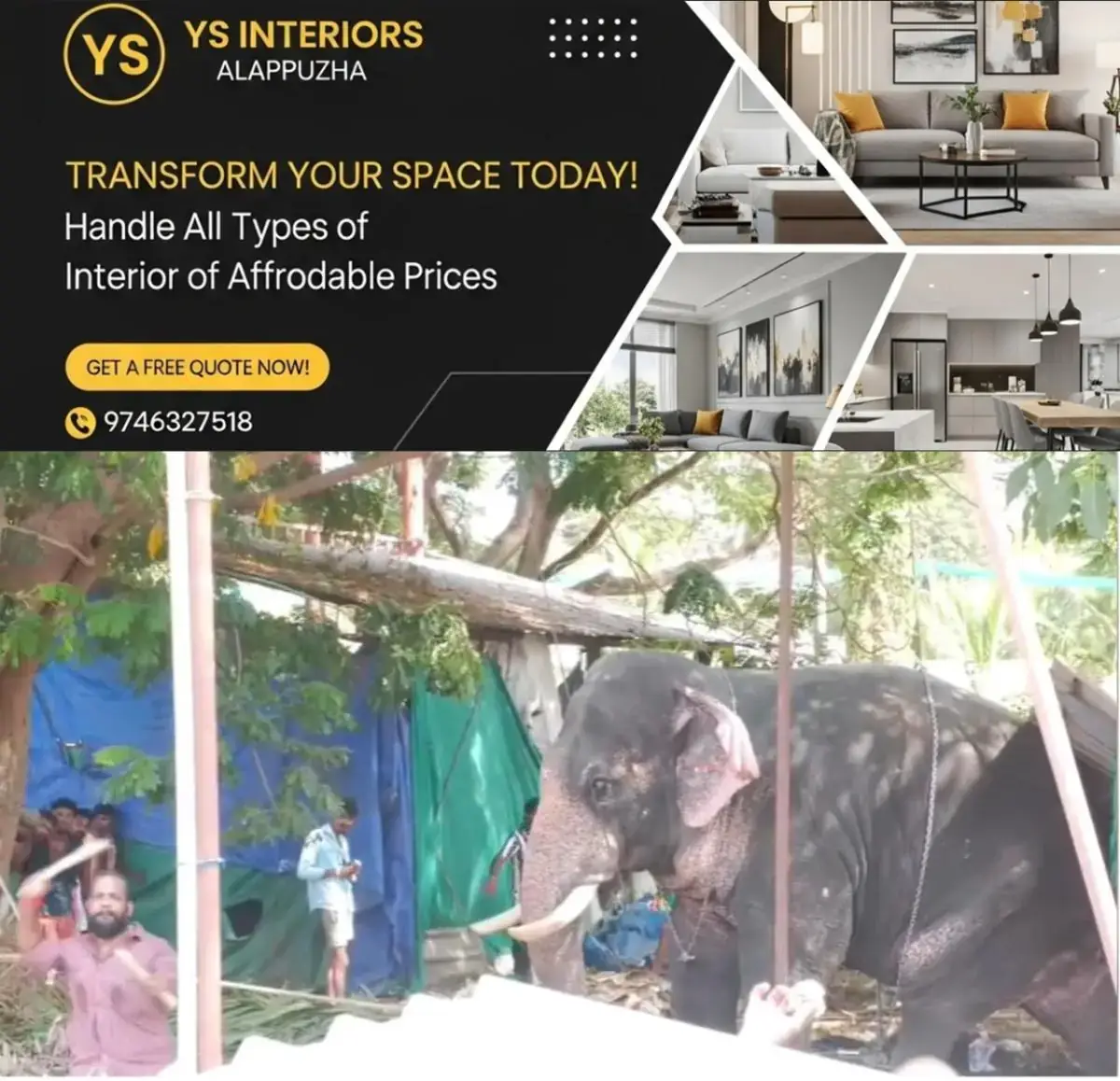 newskerala.net_1777654385_w-1280h-720format-jpgimgid-01kqj6j2tg70m4kvyj17y7qs3cimgname-elephant-1777653582671