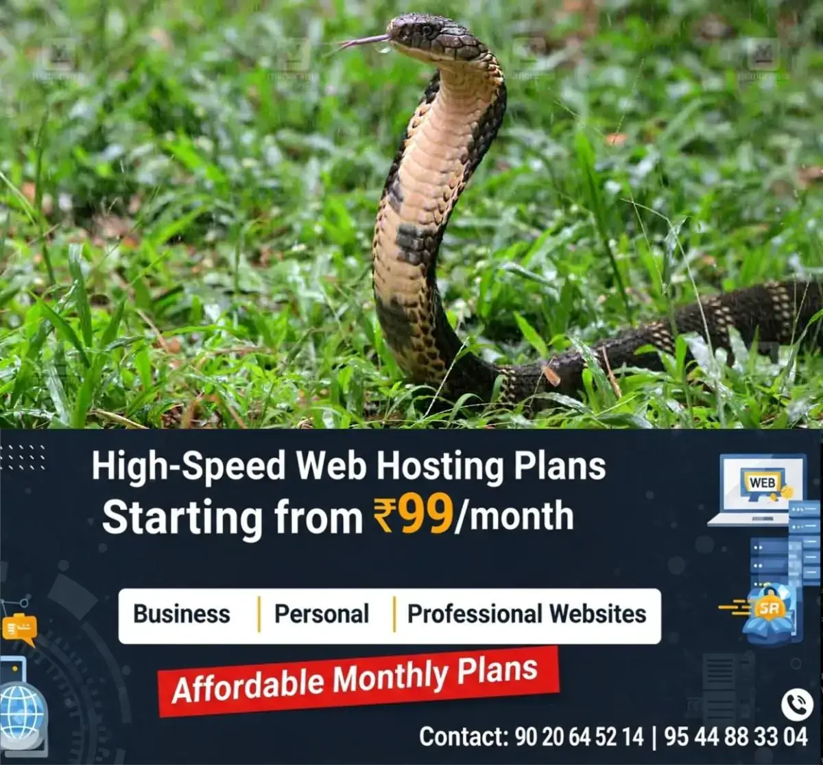 newskerala.net_1777699503_snake-local-news