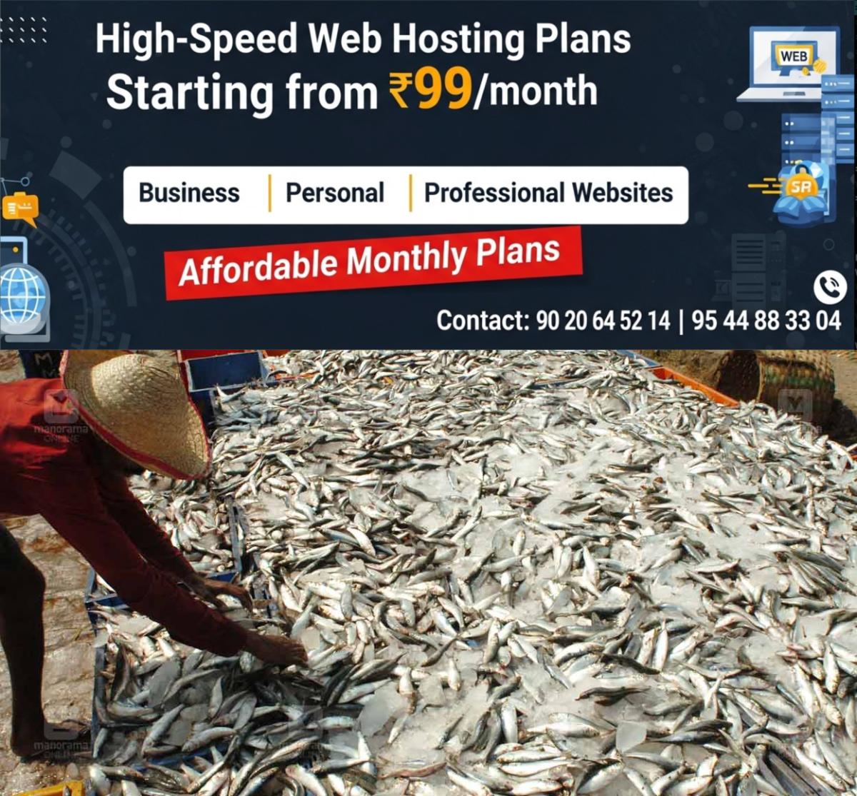 newskerala.net_1777708863_fish-mathi-local-news