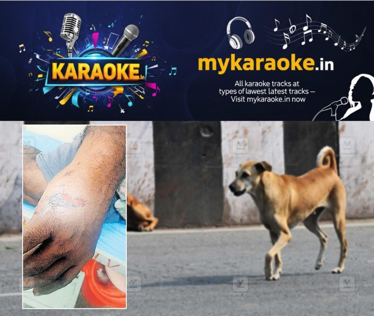 newskerala.net_1777711504_stray-dog-attack