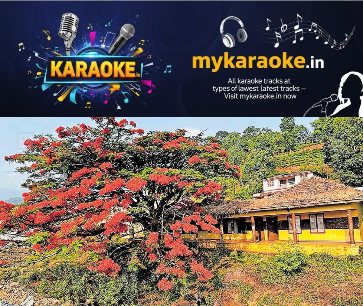 newskerala.net_1777717983_gulmohar-wayanad