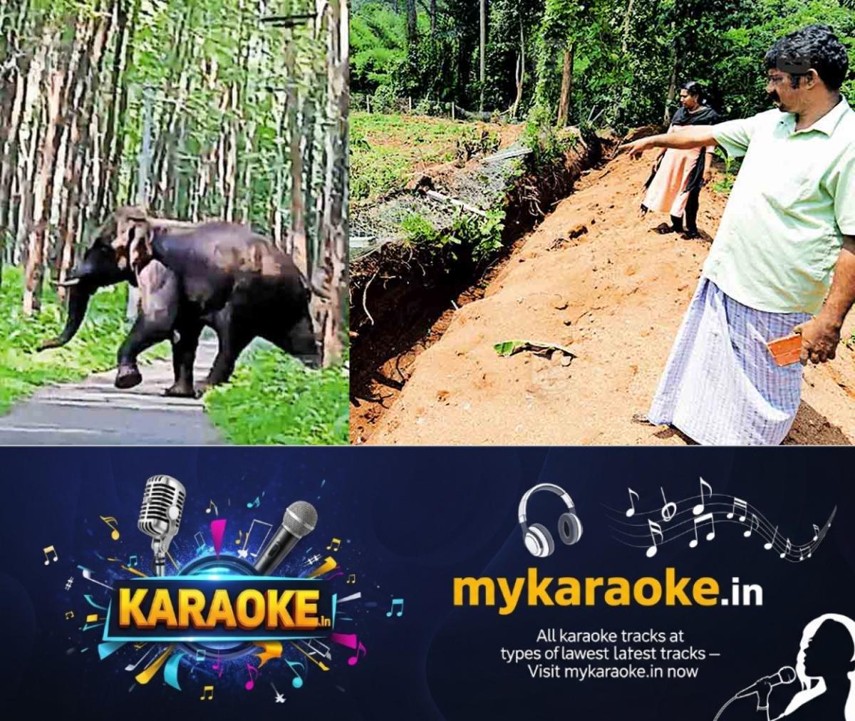 newskerala.net_1778139785_elephant-pta