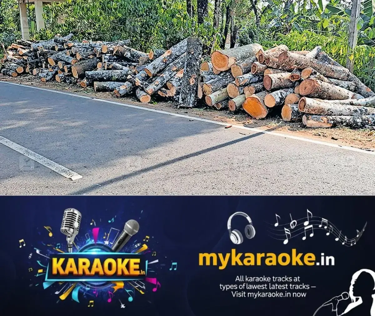 newskerala.net_1778213824_kerala-timber-sales-1