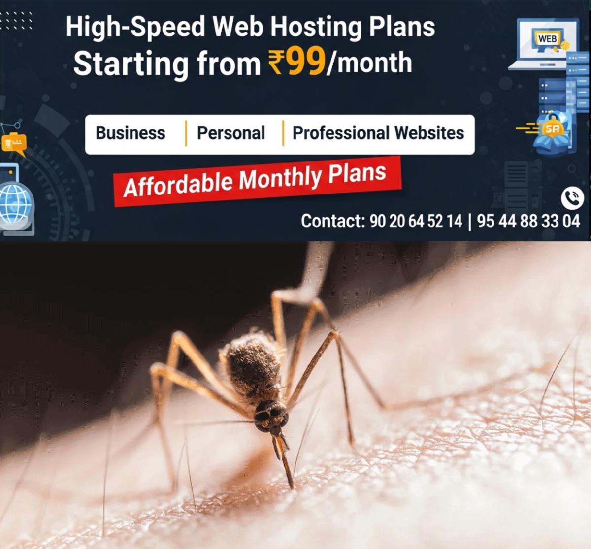 newskerala.net_1778223424_mosquito