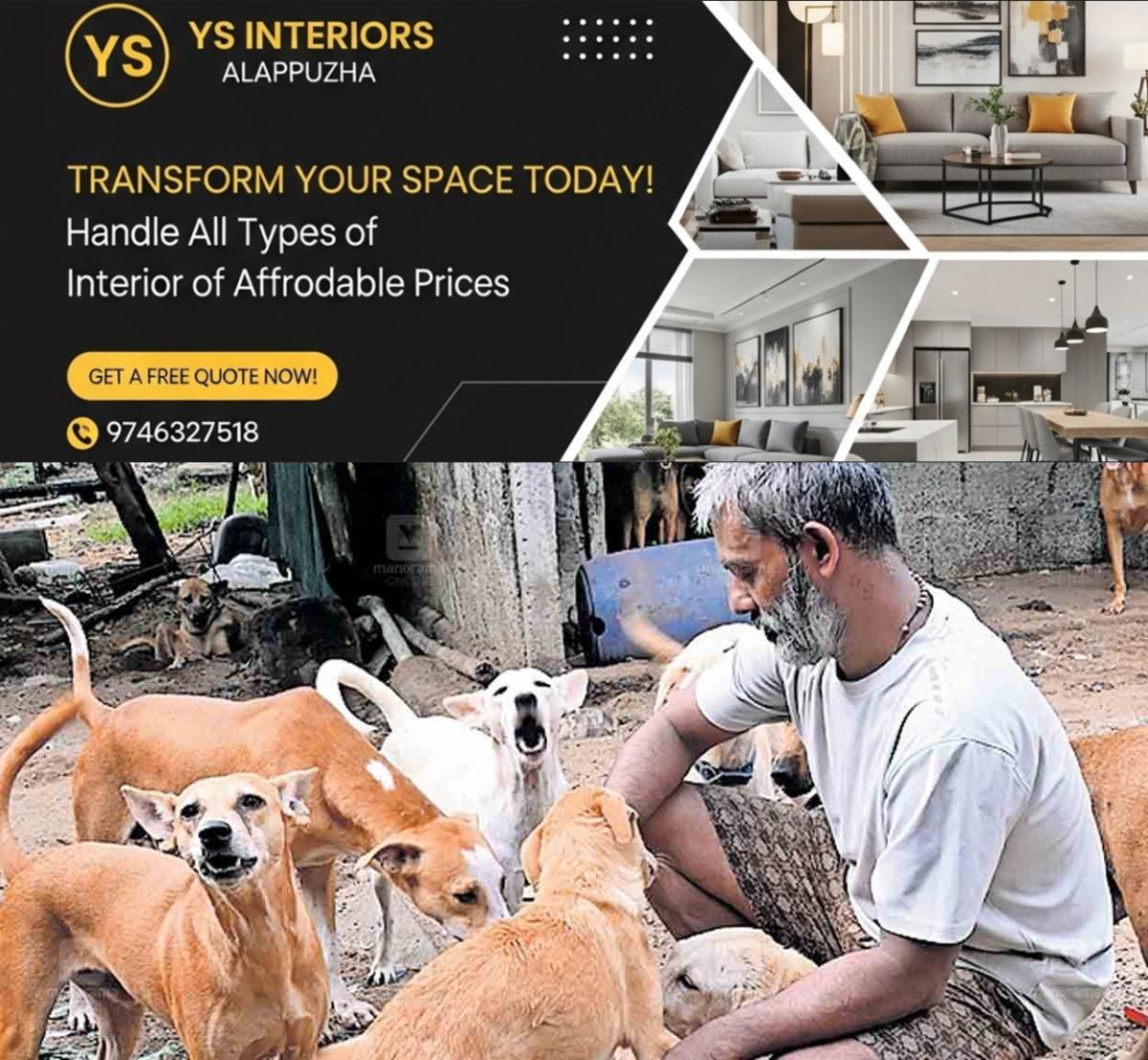 newskerala.net_1778343787_stray-dog-foodpet-dogs