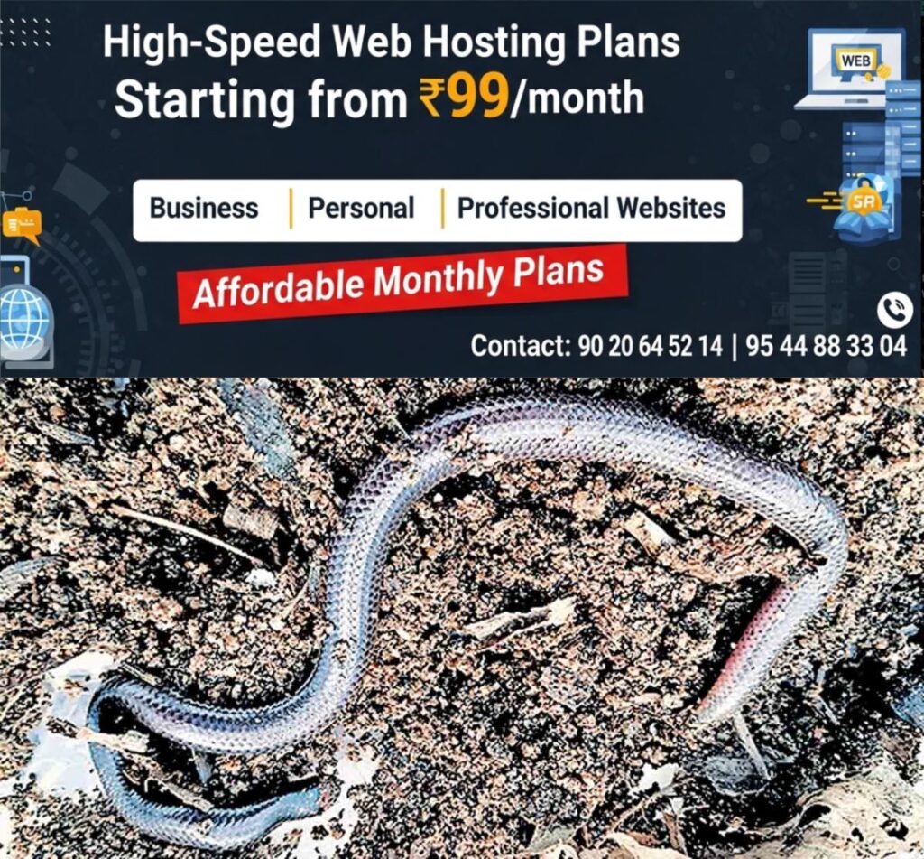 newskerala.net_1778489708_rare-earth-snake