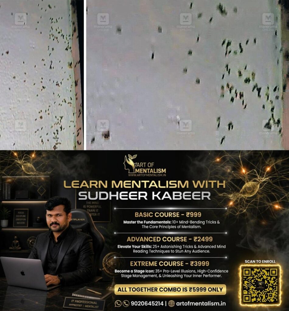 മാണിക്യമംഗലത്ത് ചെള്ള് ശല്യം രൂക്ഷം; ദുരിതത്തിലായി ഇരുപതോളം കുടുംബങ്ങൾ