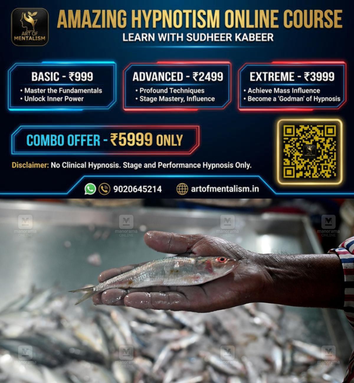 newskerala.net_1778556423_sardine-fish-1
