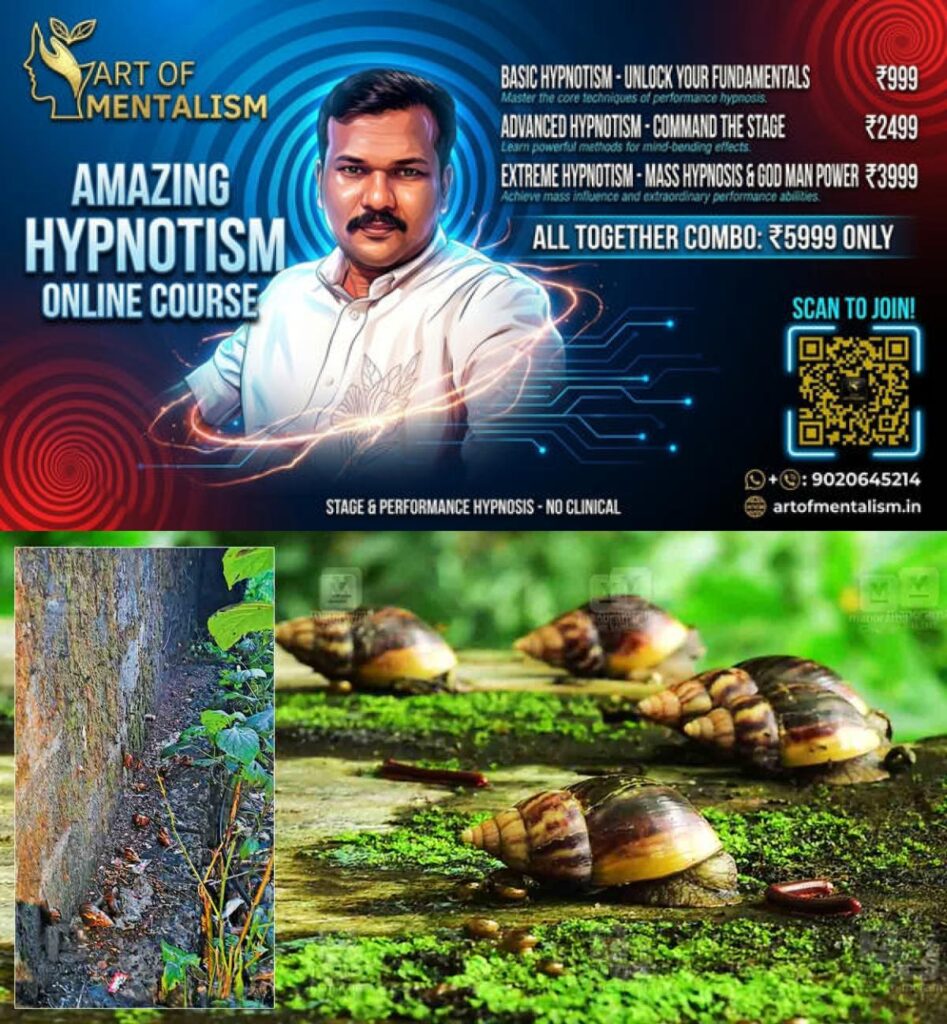 newskerala.net_1778650923_african-snail-thiruvanmiyur-news