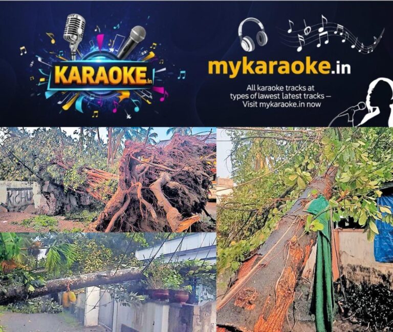 newskerala.net_1778678284_tree-fell-dowm