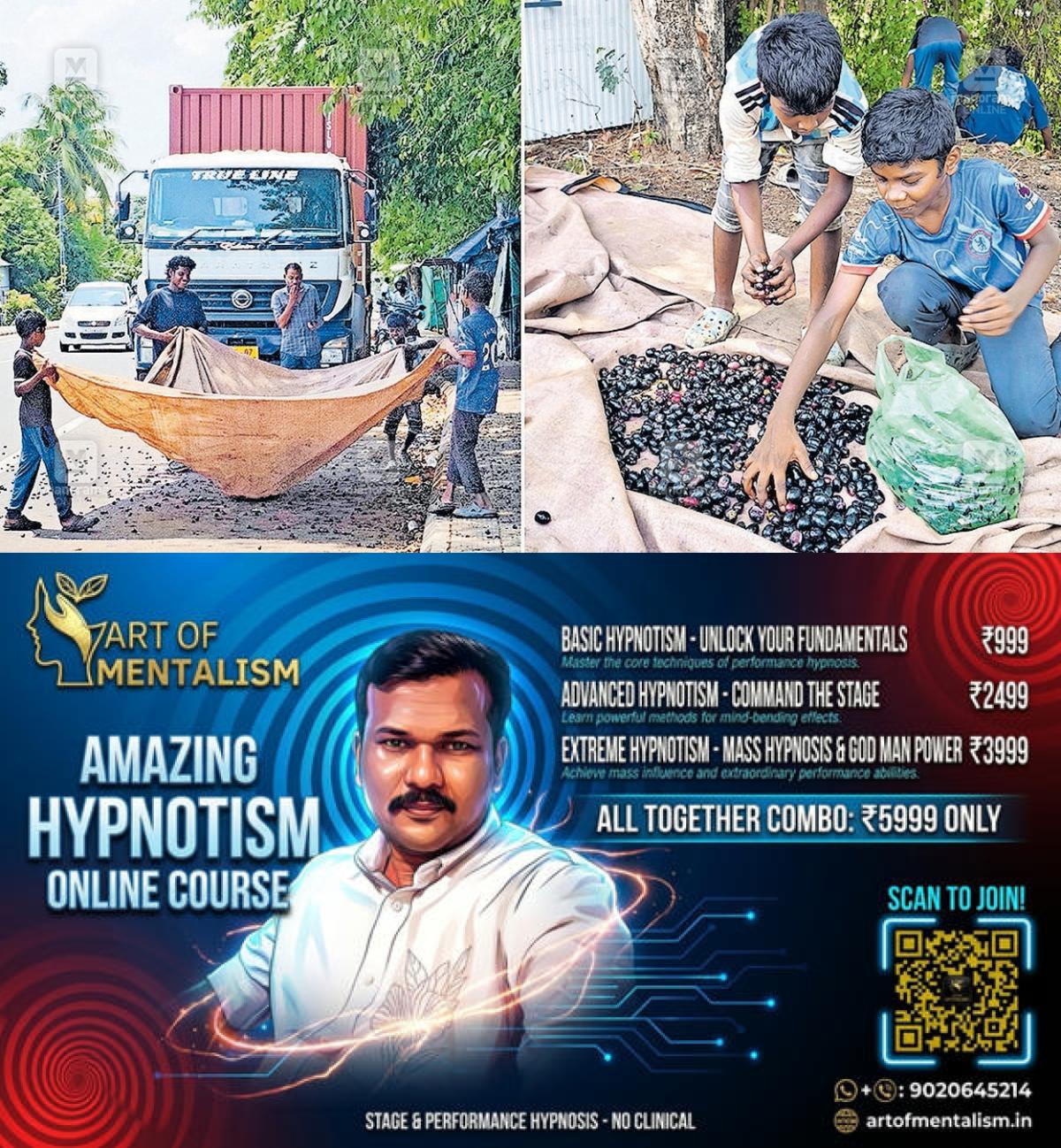 newskerala.net_1778727483_ac-road-jamun-fruits-1