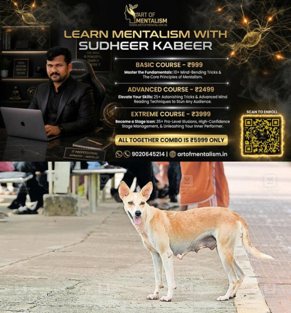 newskerala.net_1778737925_street-dog-pathanamthitta-1