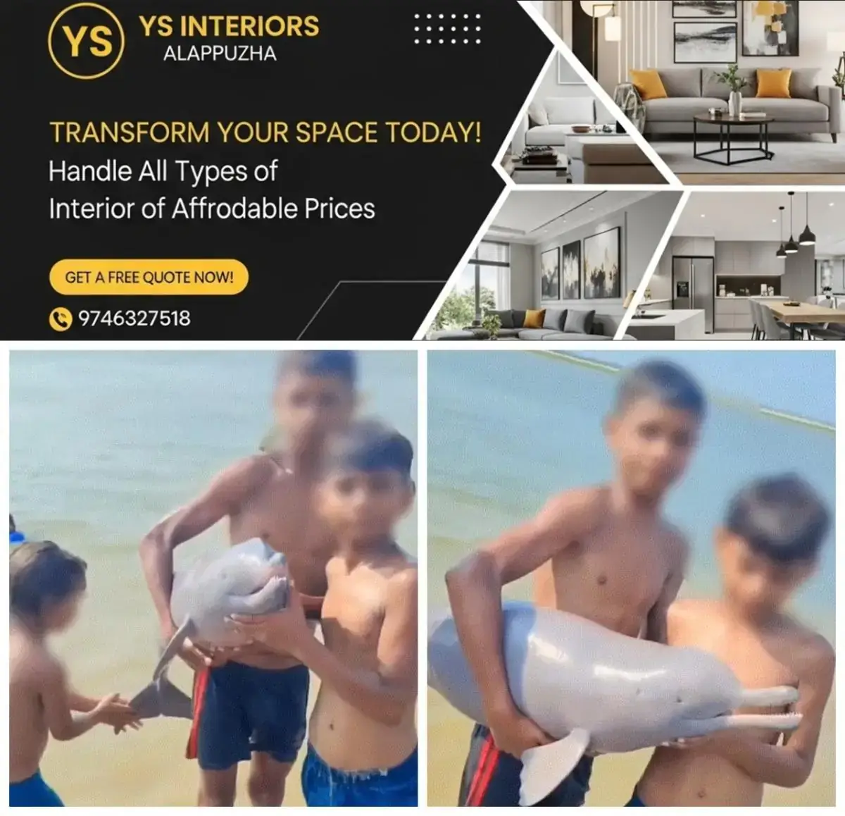 newskerala.net_1778739193_w-1280h-720format-jpgimgid-01krjh1eywv1sc2gg6axzmnge7imgname-children-playing-with-baby-dolphin