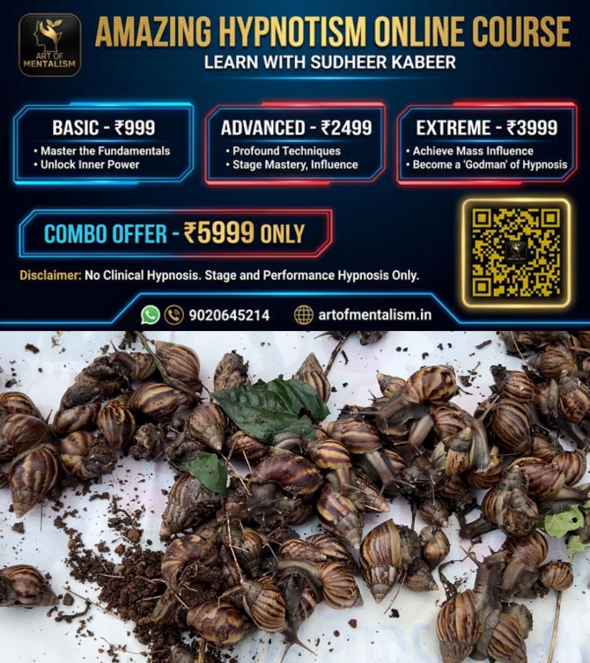 newskerala.net_1778798287_w-1280h-720format-jpgimgid-01krkyfg981z53x3b5xw7a1jy9imgname-fotojet-21-1778785960232