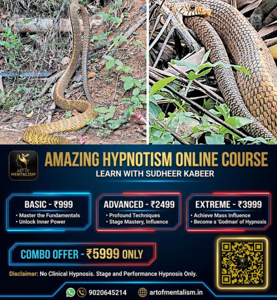 newskerala.net_1778997430_snake-palakkad