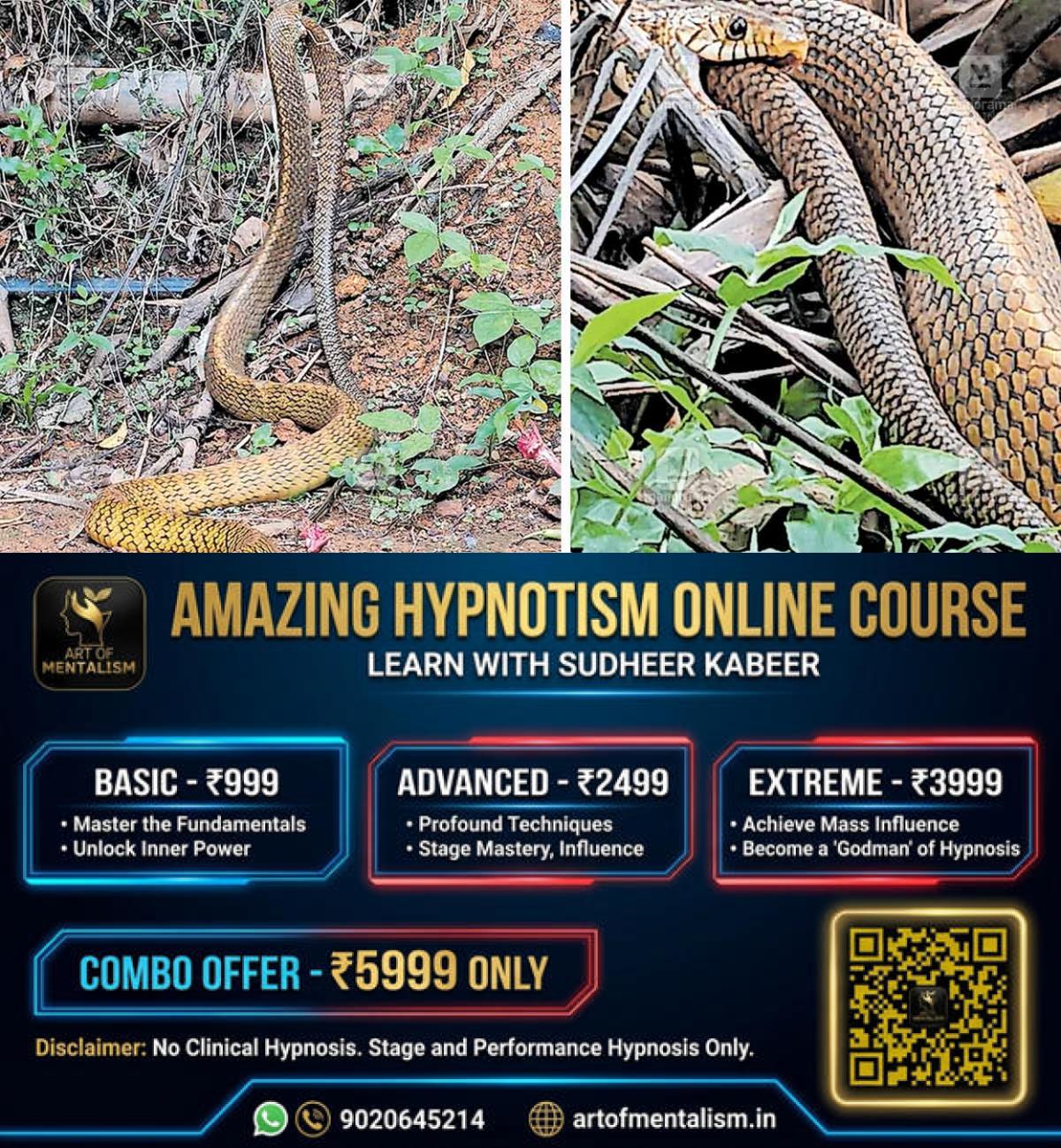 newskerala.net_1778997430_snake-palakkad