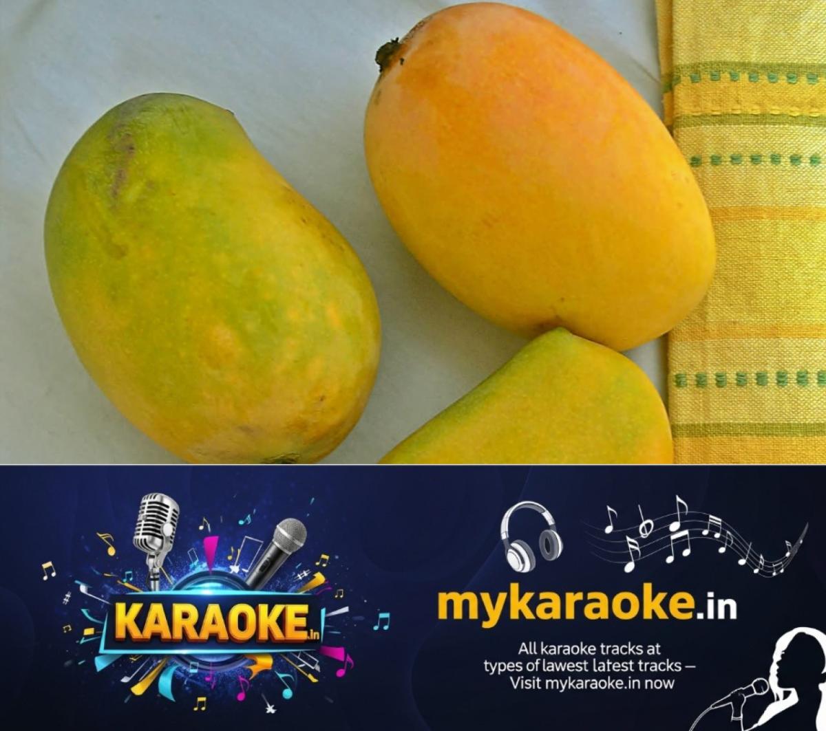 newskerala.net_1779094269_w-1280h-720format-jpgimgid-01krx46716ffmx9ncms6c1a8ntimgname-kesar-mango-1779093937190