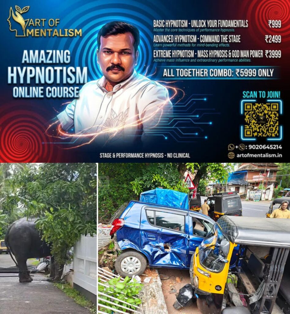 newskerala.net_1779512360_thrissur-elephant