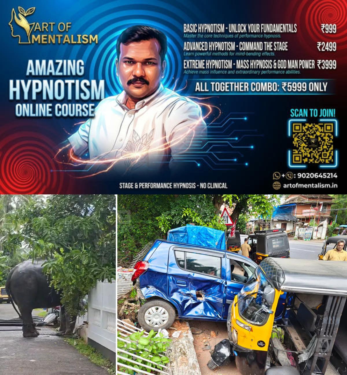 newskerala.net_1779512360_thrissur-elephant
