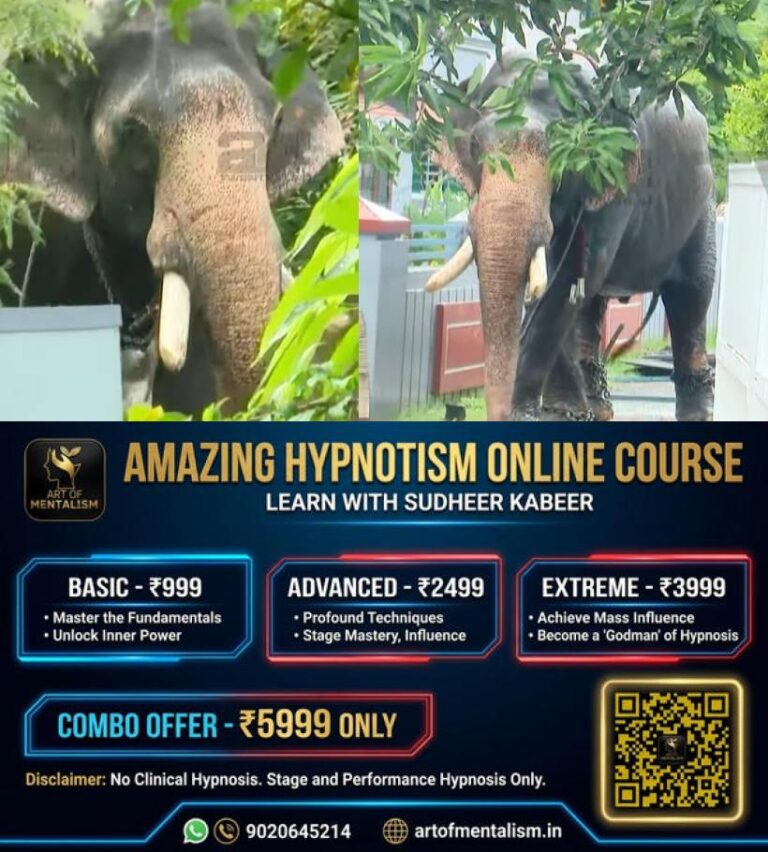 newskerala.net_1779514523_elephant-rampage-thrissur