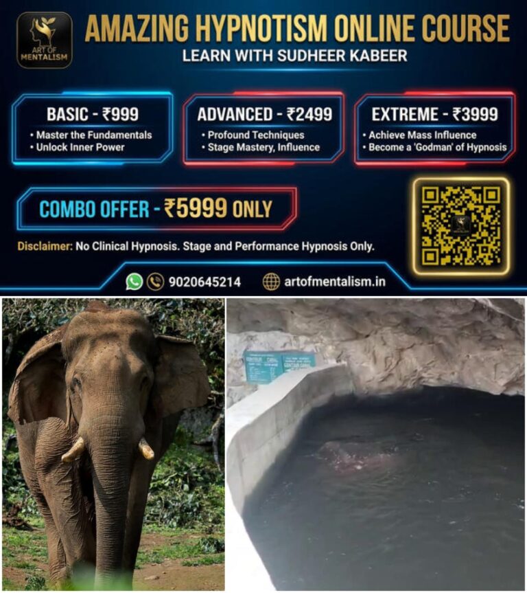 newskerala.net_1779631448_w-1280h-720format-jpgimgid-01ksd4c2zf0txp0s28zg46hk75imgname-chillikomban-1779631000559
