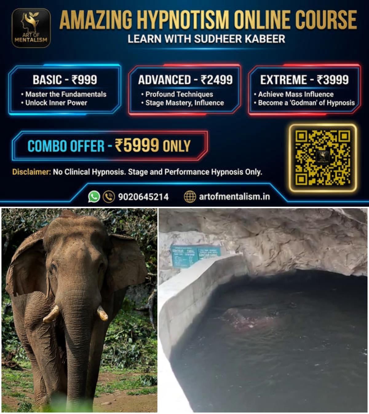 newskerala.net_1779631448_w-1280h-720format-jpgimgid-01ksd4c2zf0txp0s28zg46hk75imgname-chillikomban-1779631000559