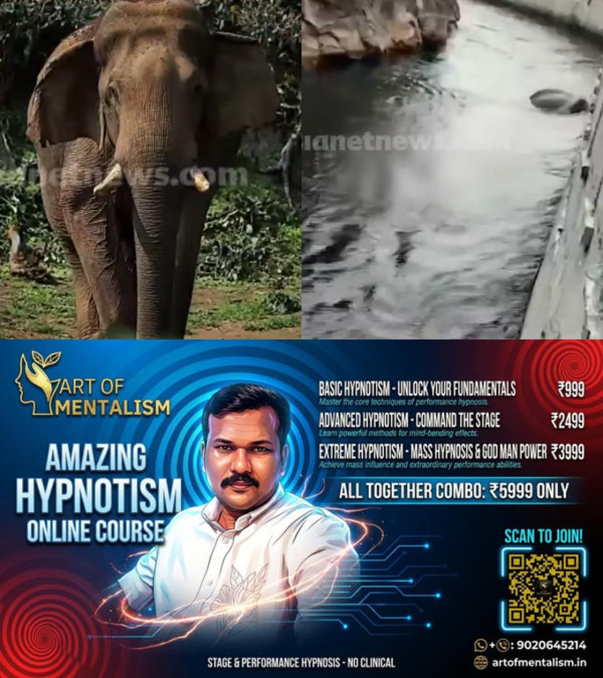 newskerala.net_1779655206_w-1280h-720format-jpgimgid-01ksdv1jt5p4cr2t2amtj10xqwimgname-chillikomban-death-1779654773573.jp