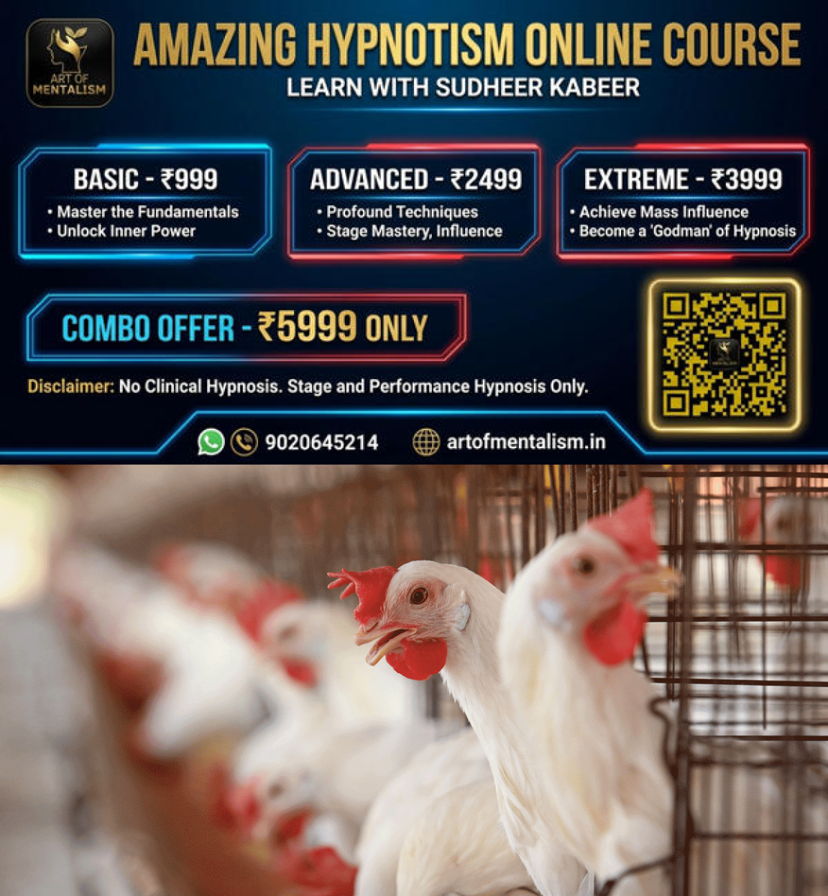 newskerala.net_1779677886_noise-pollution-poultry-impact