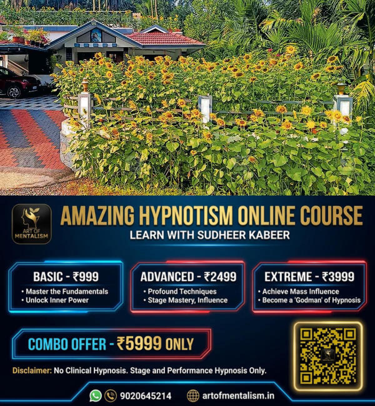 newskerala.net_1779688326_kodenchery-sunflower-garden