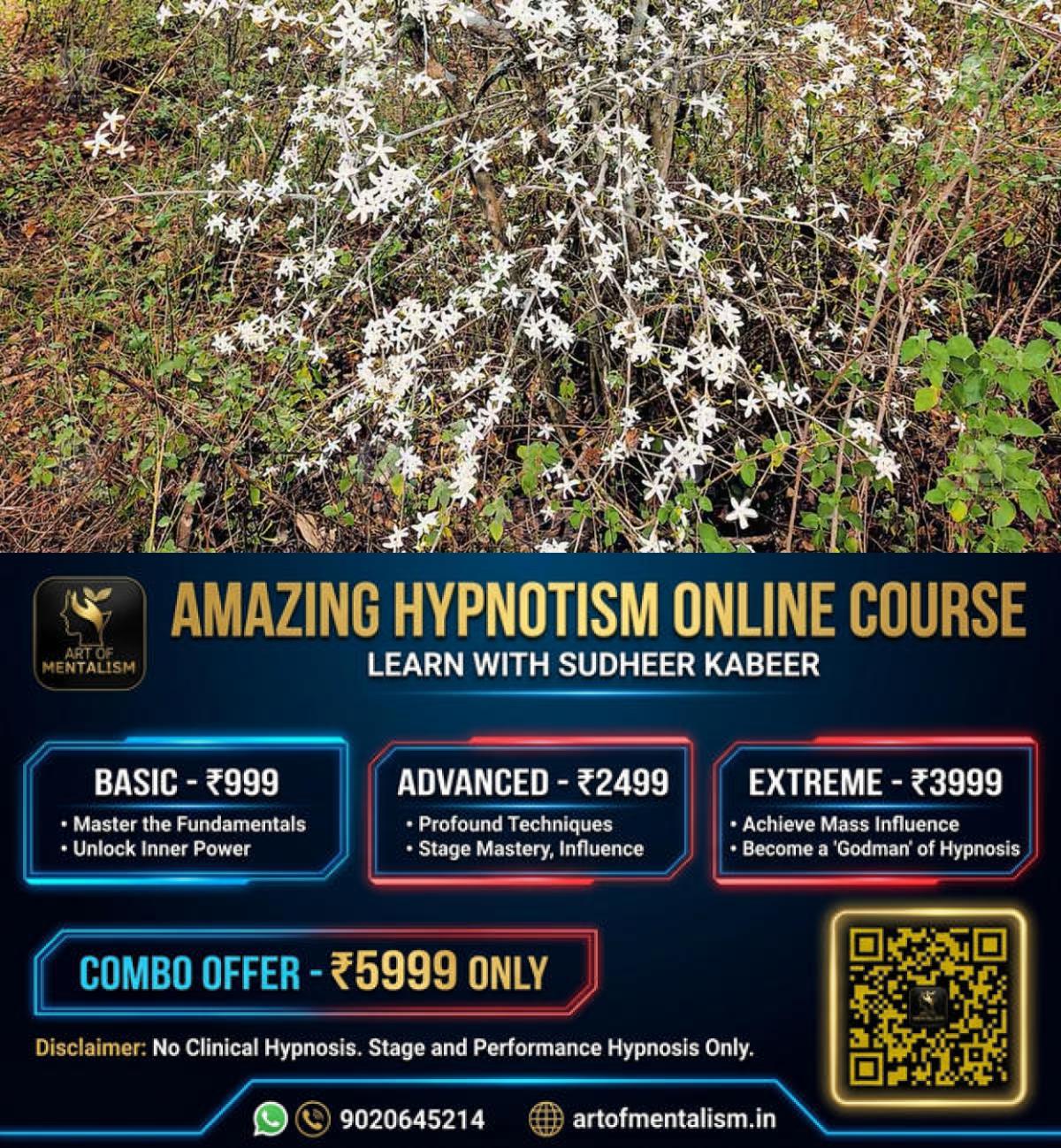newskerala.net_1779772752_wild-jasmine-marayur-bloom