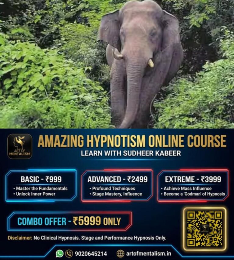newskerala.net_1779811752_wild-elephant
