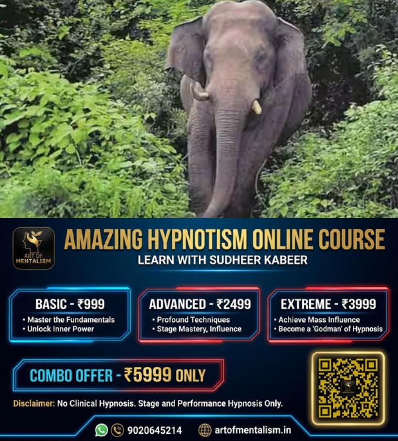 newskerala.net_1779811752_wild-elephant