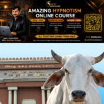 newskerala.net_1779902709_w-1280h-720format-jpgimgid-01ksn77pwv7ezt2vzcpd2txkhmimgname-cow-1779902438299.jfif