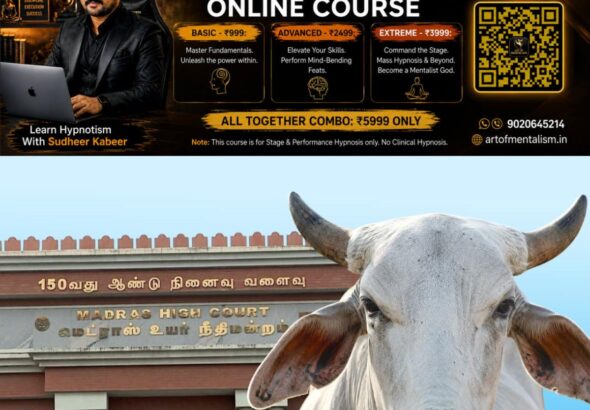 newskerala.net_1779902709_w-1280h-720format-jpgimgid-01ksn77pwv7ezt2vzcpd2txkhmimgname-cow-1779902438299.jfif