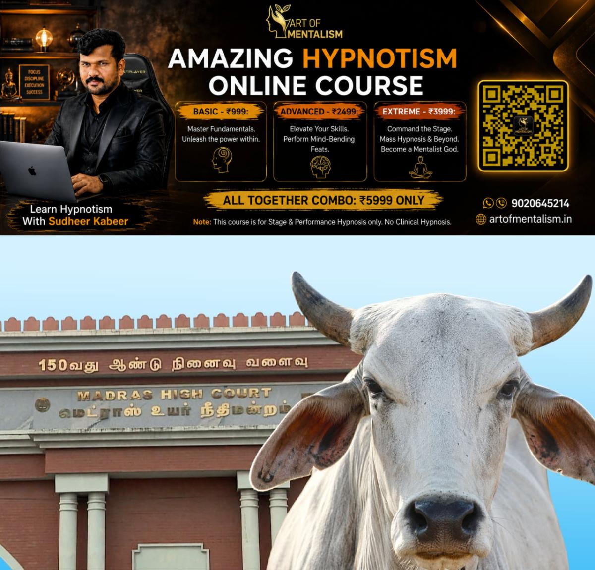 newskerala.net_1779902709_w-1280h-720format-jpgimgid-01ksn77pwv7ezt2vzcpd2txkhmimgname-cow-1779902438299.jfif