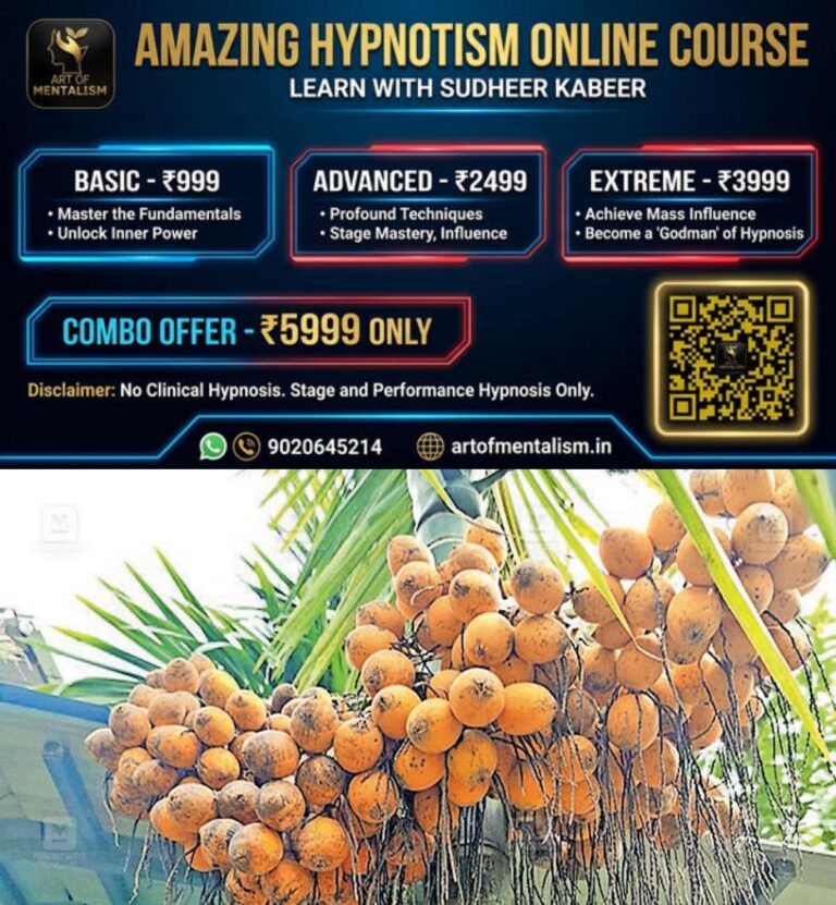 newskerala.net_1779939367_arecanut-1