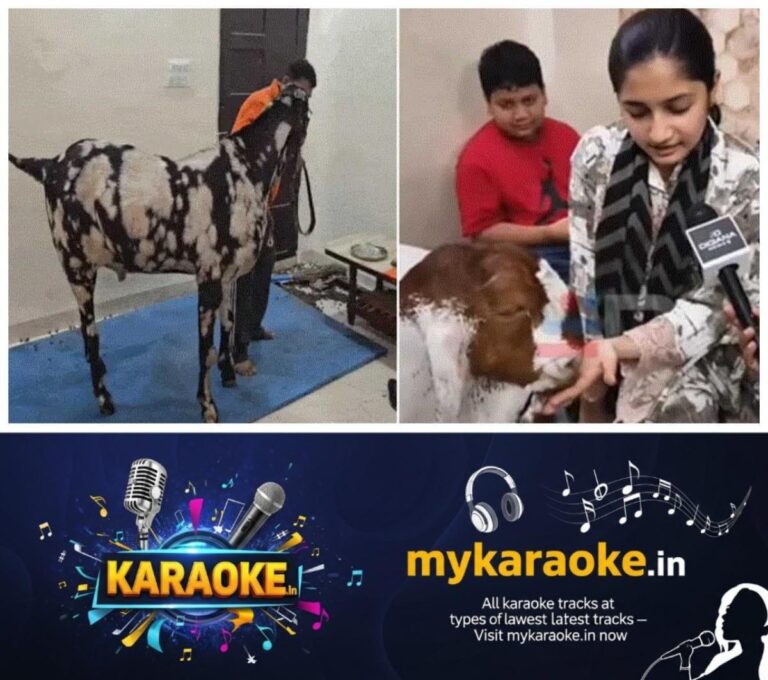 newskerala.net_1779960313_w-1280h-720format-jpgimgid-01kspy4g3j68pptc33ndgvqqzximgname-bakrid-special-sultan-1779960004721