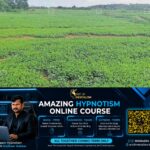 newskerala.net_1780060570_uzhunnu-cultivation-gears-up-for-harvest-in-keralas-kolpadam-fields