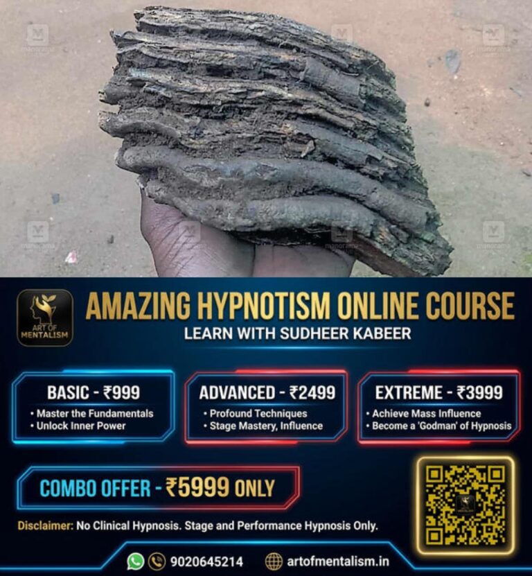 newskerala.net_1780117690_rajakumari-fossil-discovery