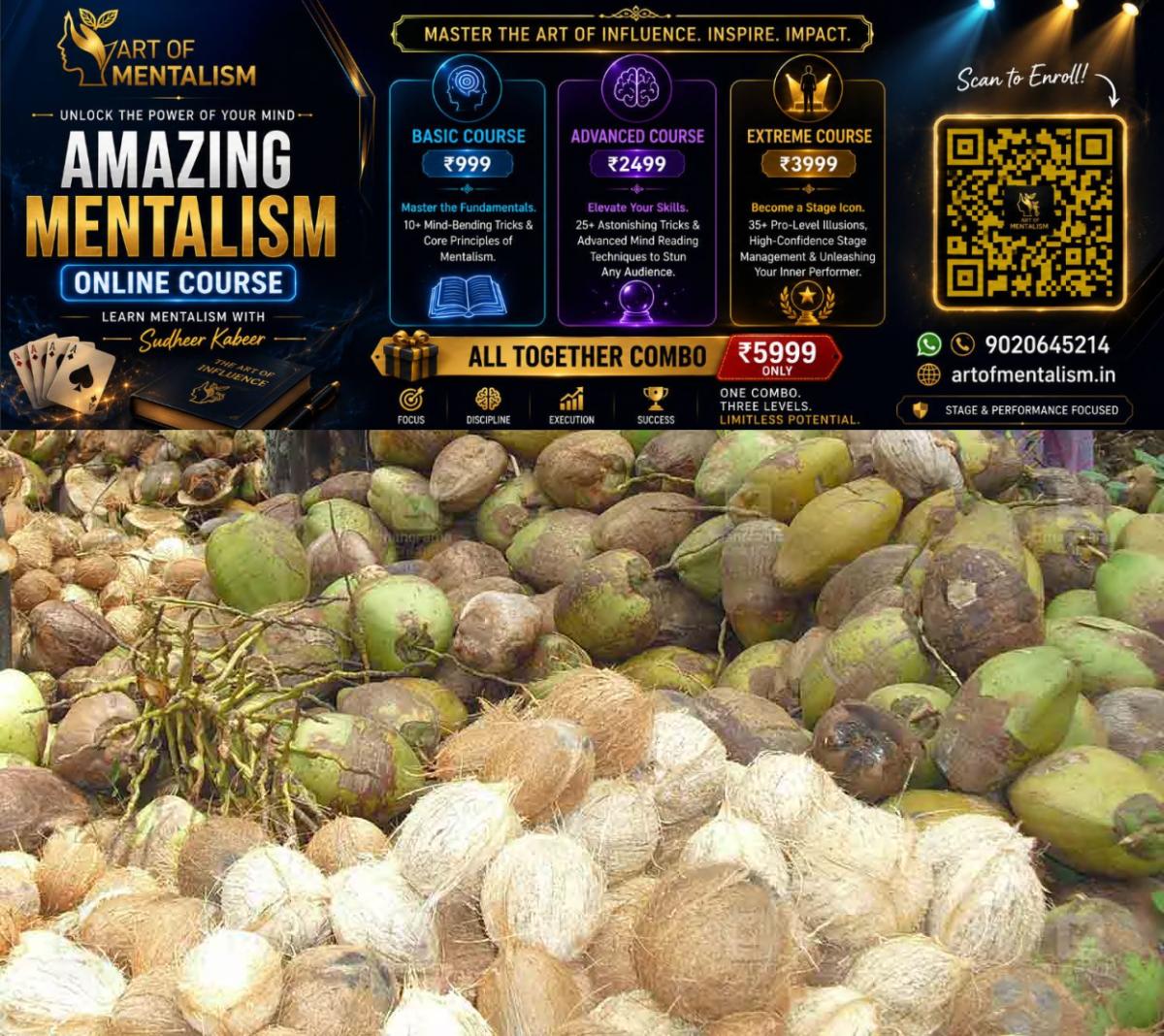 newskerala.net_1780227848_coconut-1