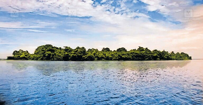 pathiramanal-island-1.jpg