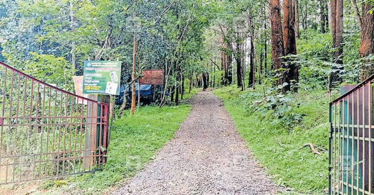 wayanad-medical-college-land-1.jpg