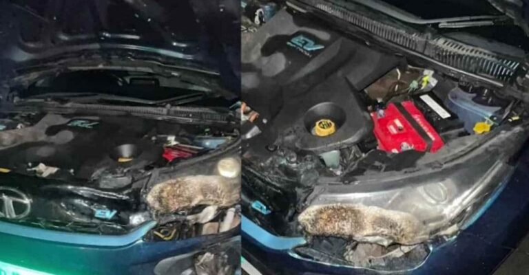 car-fire.jpg