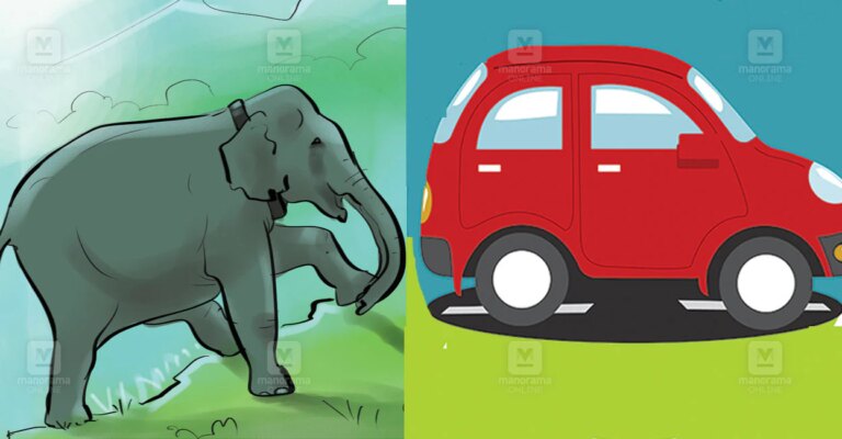 elephant-car-attack.jpg