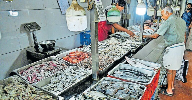 kalpetta-fish-market-1.jpg