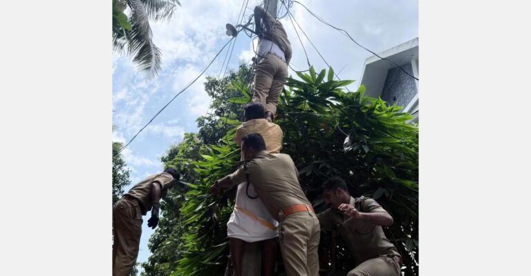 kothamangalam-electricity-rescue.jpg