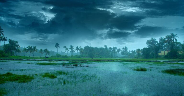 monsoon-kerala.jpg