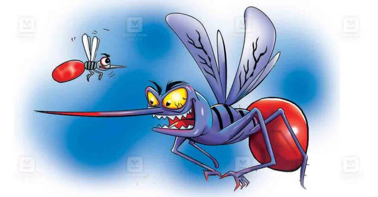 mosquito-sketch-1.jpg
