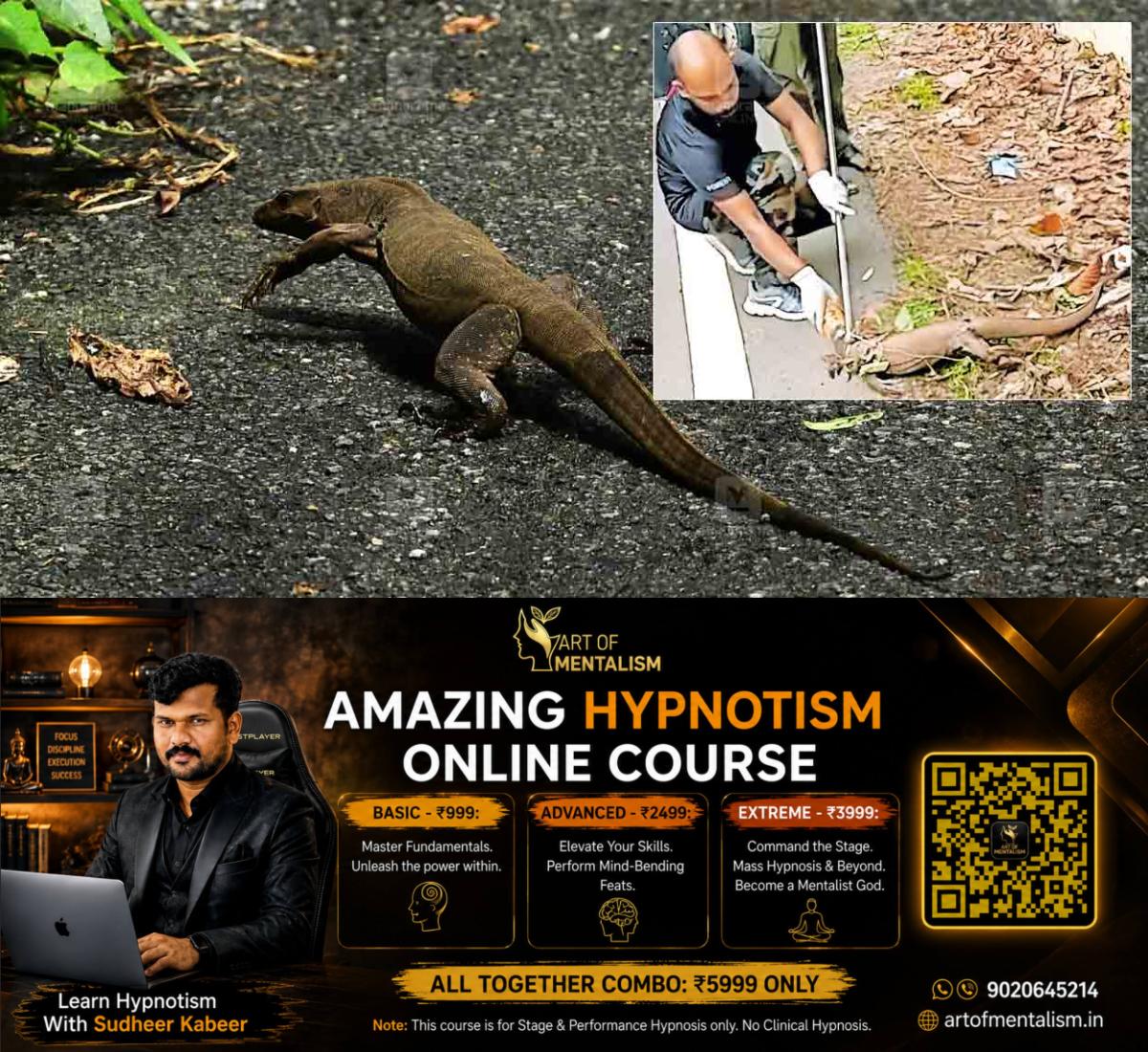 newskerala.net_1780294132_Monitor-lizard-ktm